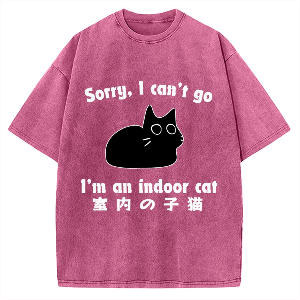 Indoor Kitten Vintage Washed T-shirt