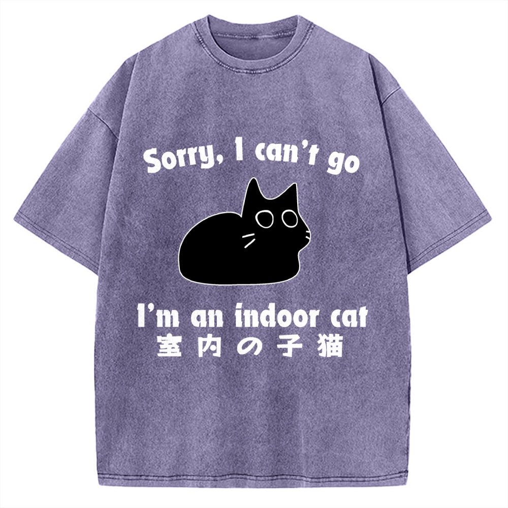 Indoor Kitten Vintage Washed T-shirt