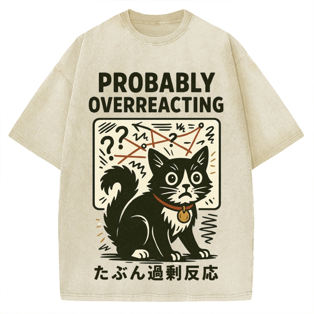 Vintage Overreacting Cat Washed T-shirt