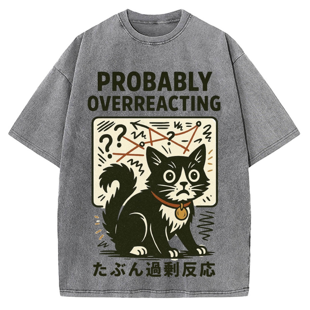 Vintage Overreacting Cat Washed T-shirt
