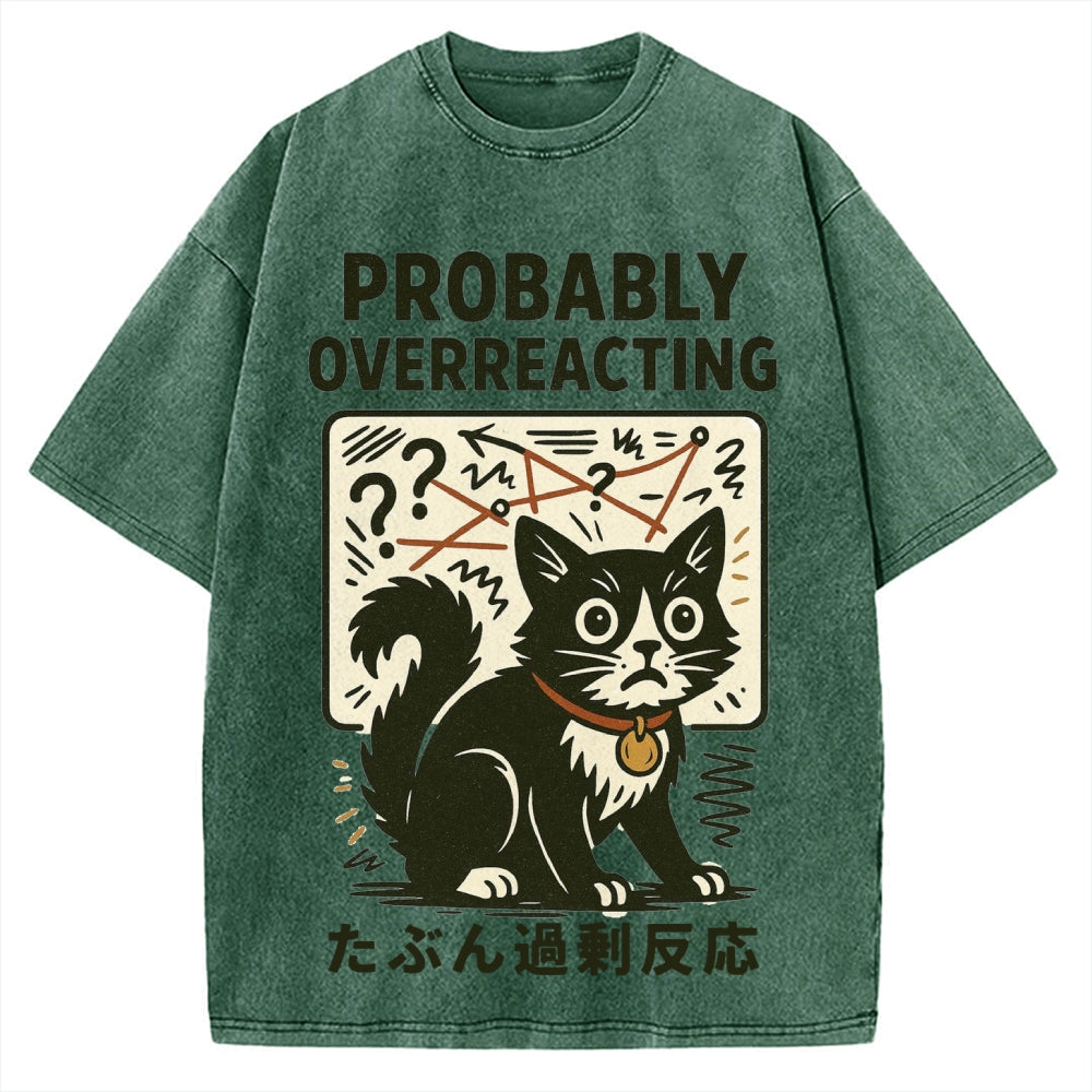 Vintage Overreacting Cat Washed T-shirt