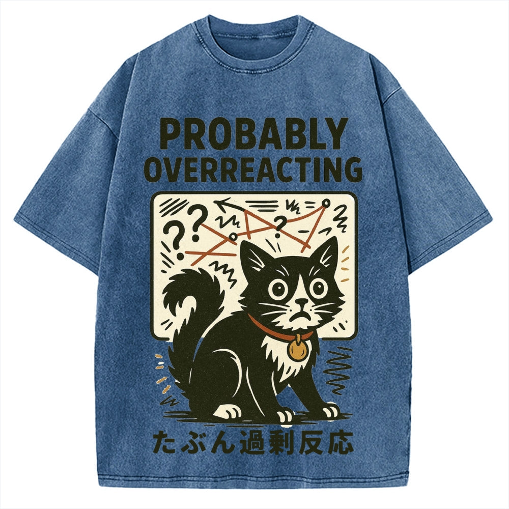 Vintage Overreacting Cat Washed T-shirt
