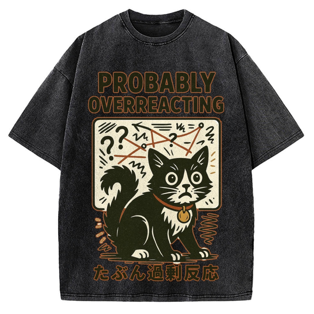 Vintage Overreacting Cat Washed T-shirt