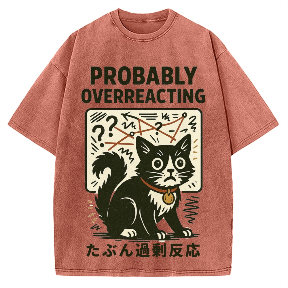 Vintage Overreacting Cat Washed T-shirt