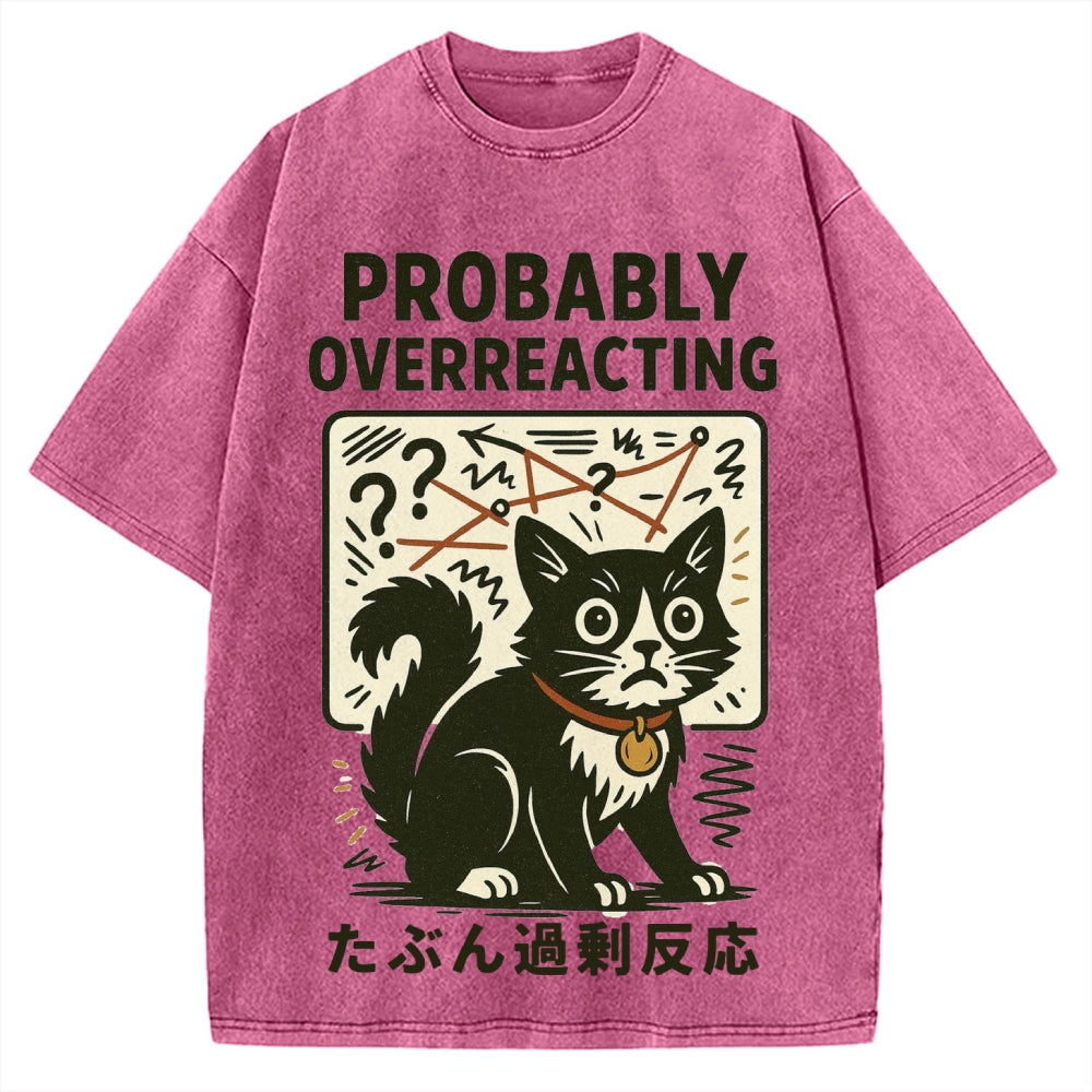 Vintage Overreacting Cat Washed T-shirt