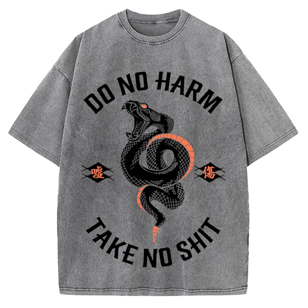Vintage Washed T-shirt 2508001441