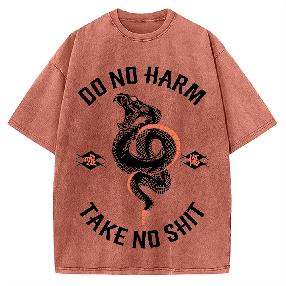 Vintage Washed T-shirt 2508001441