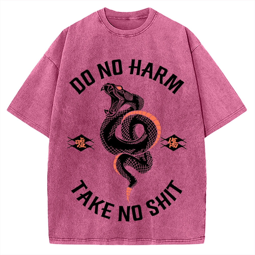 Vintage Washed T-shirt 2508001441