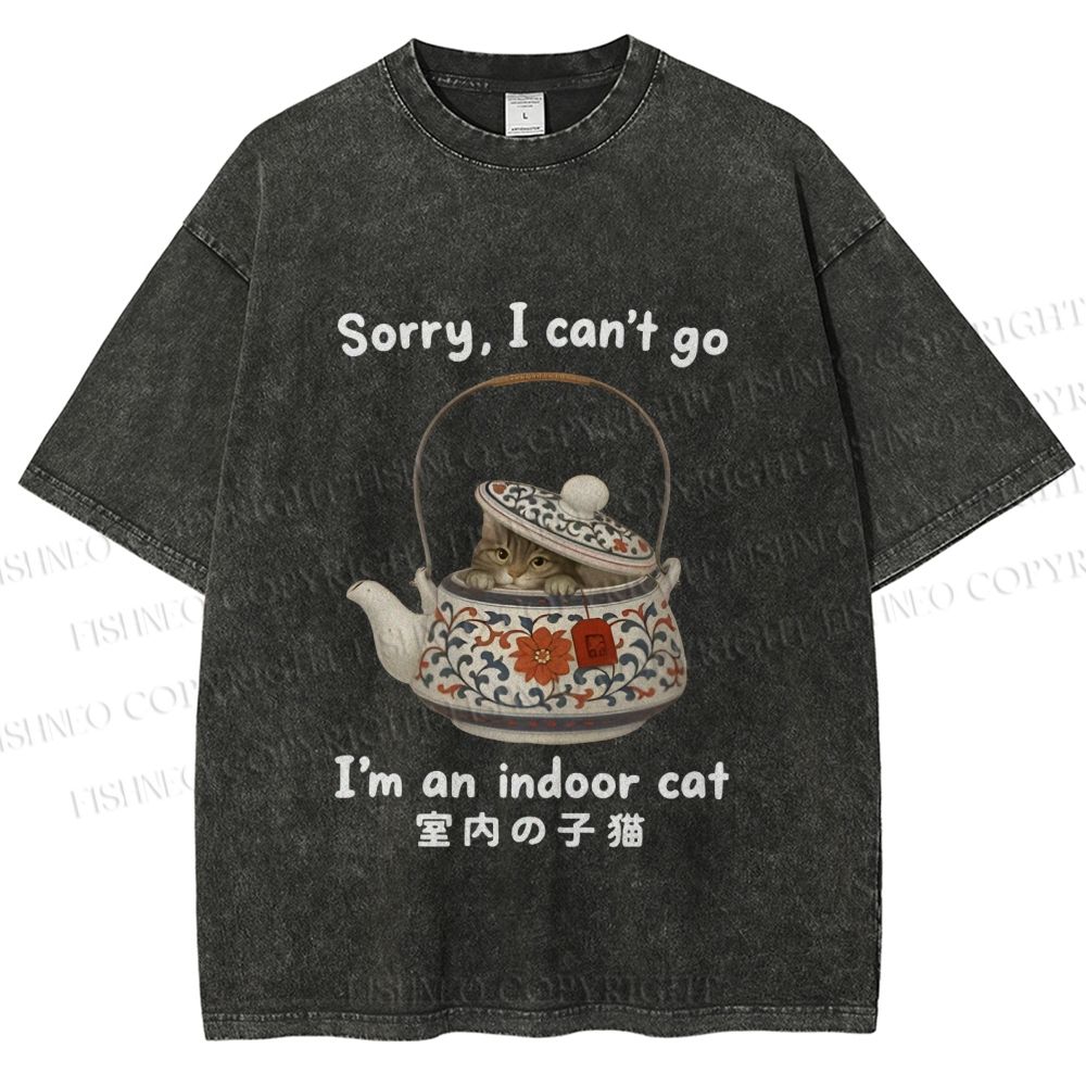 Unisex I am A Indoor Cat In Tea Pot Printed Washed Tee
