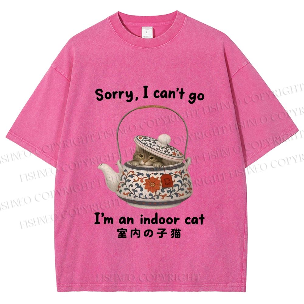 Unisex I am A Indoor Cat In Tea Pot Printed Washed Tee