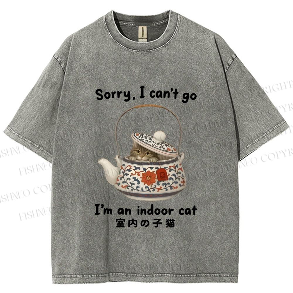 Unisex I am A Indoor Cat In Tea Pot Printed Washed Tee