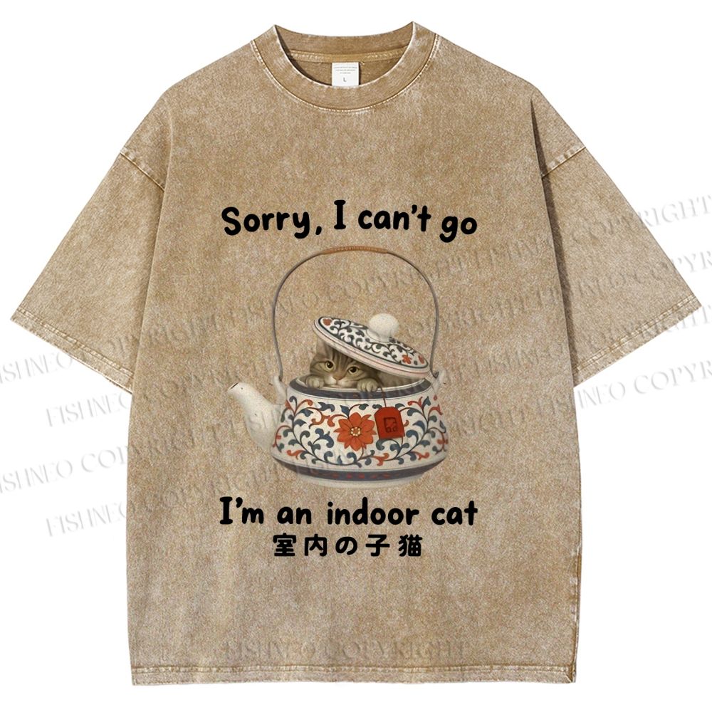 Unisex I am A Indoor Cat In Tea Pot Printed Washed Tee