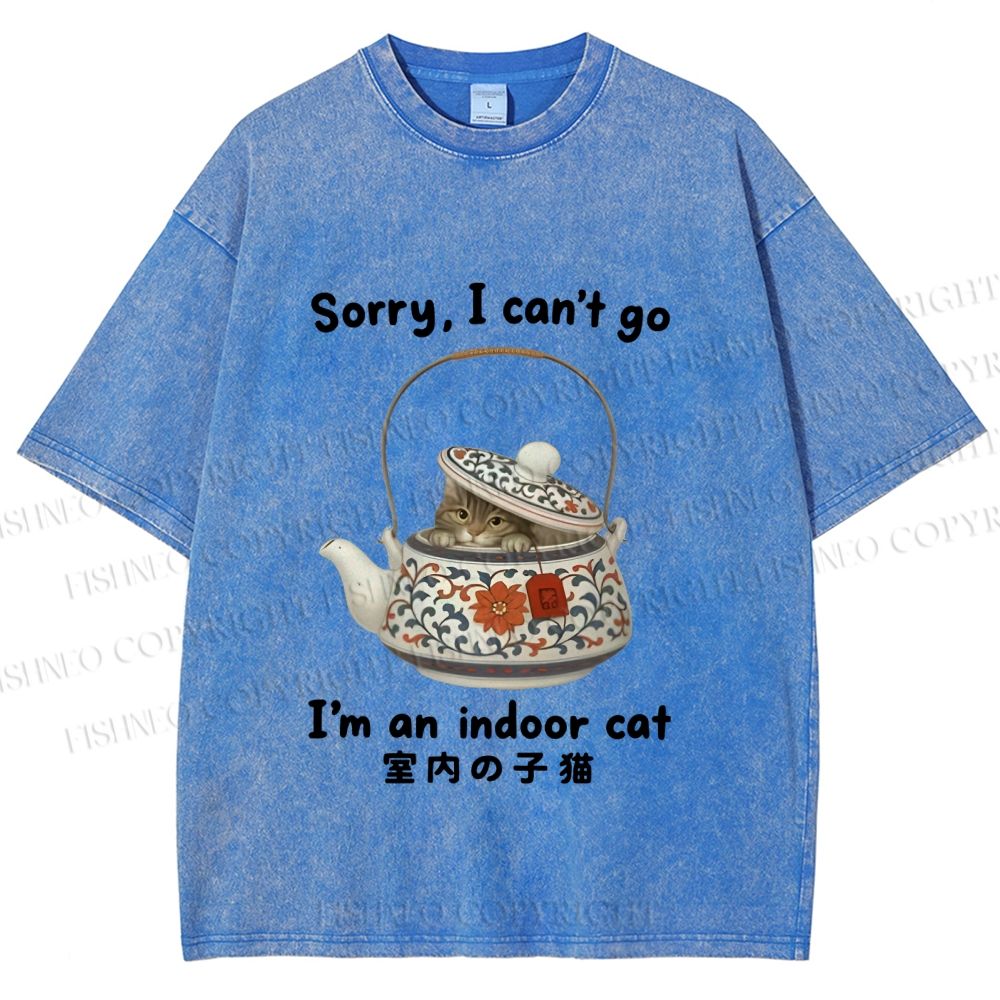 Unisex I am A Indoor Cat In Tea Pot Printed Washed Tee