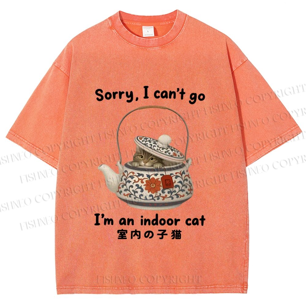 Unisex I am A Indoor Cat In Tea Pot Printed Washed Tee