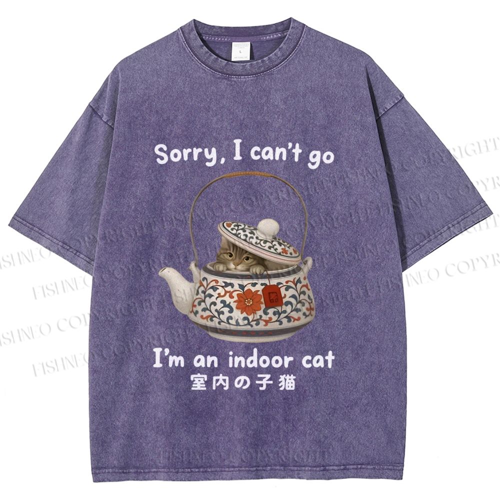 Unisex I am A Indoor Cat In Tea Pot Printed Washed Tee