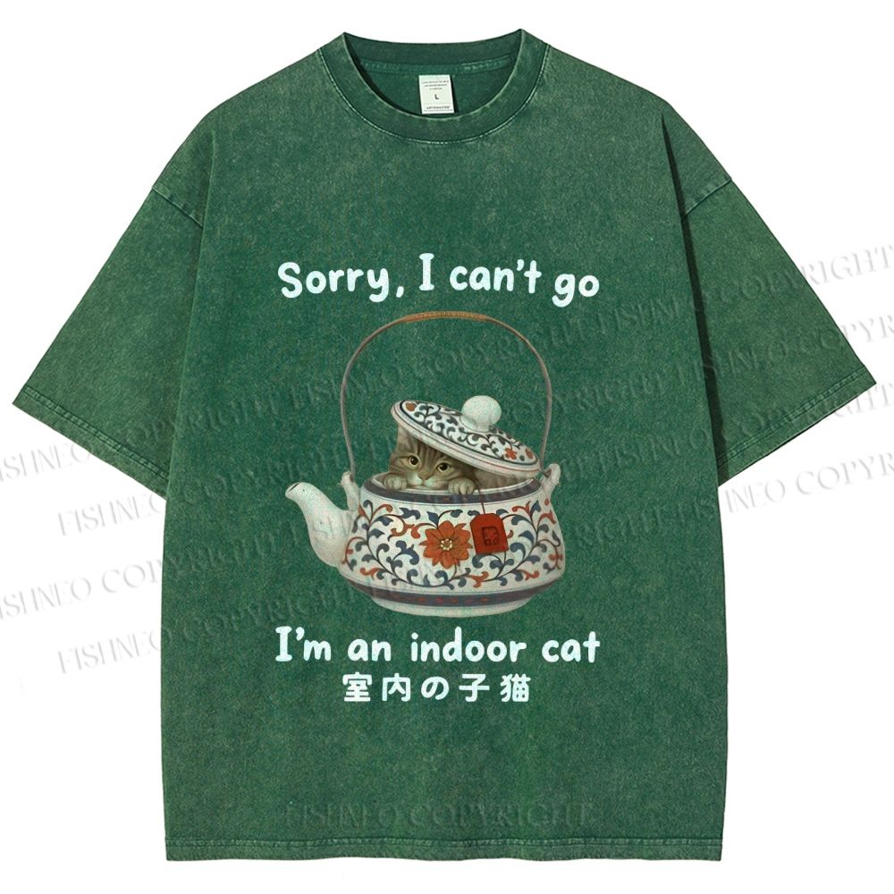 Unisex I am A Indoor Cat In Tea Pot Printed Washed Tee