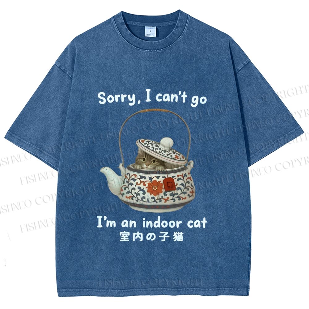 Unisex I am A Indoor Cat In Tea Pot Printed Washed Tee