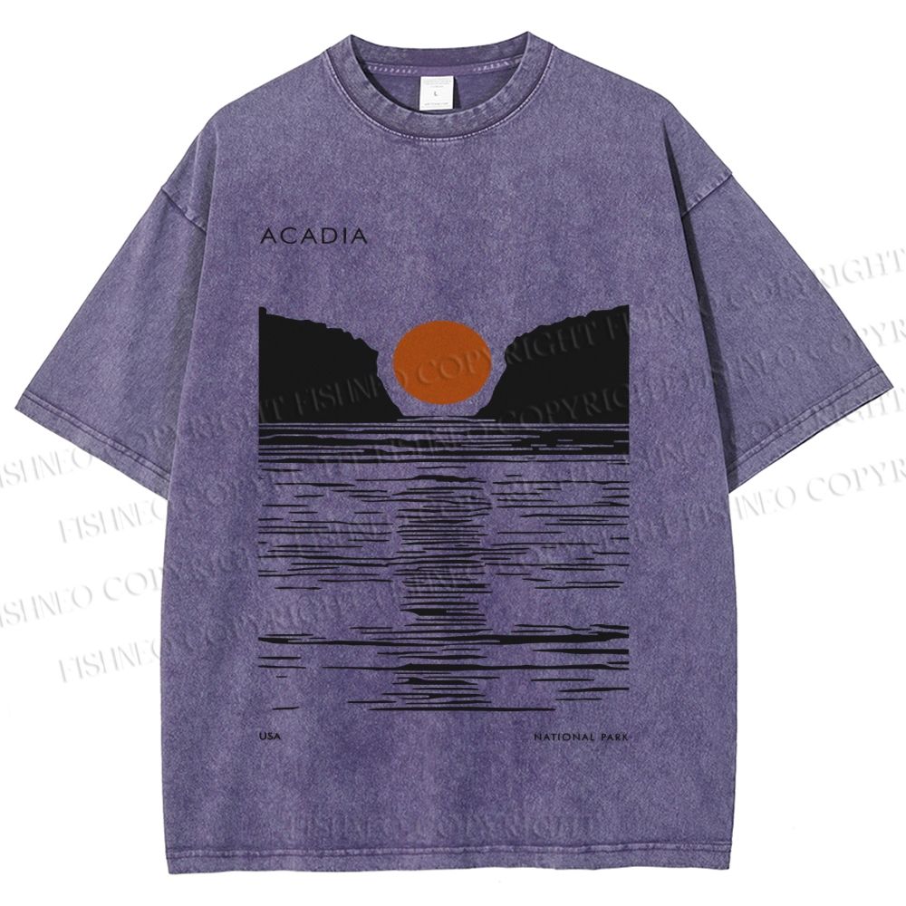 Unisex Vintage Wave Sun Printed Washed Tee