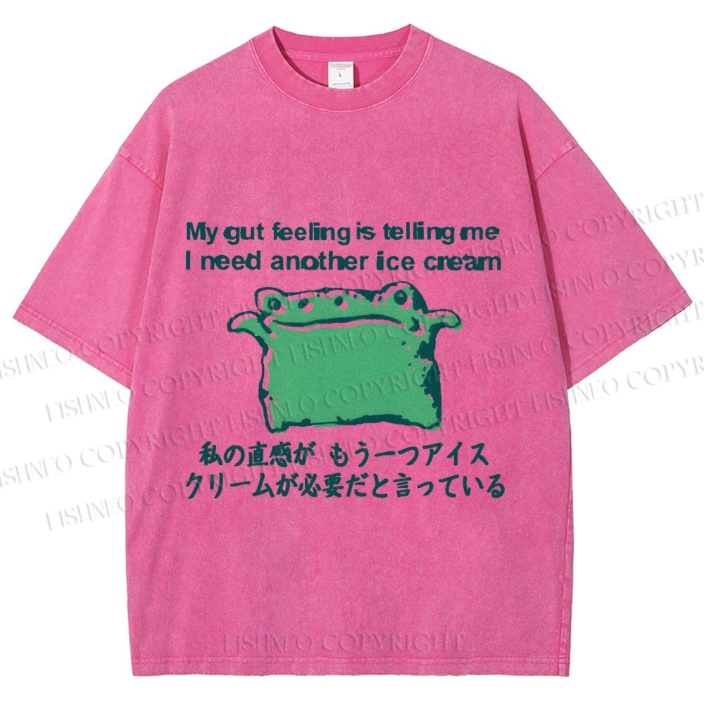 Unisex Japanese I need another ice cream Silly Frog Printed Washed Tee
