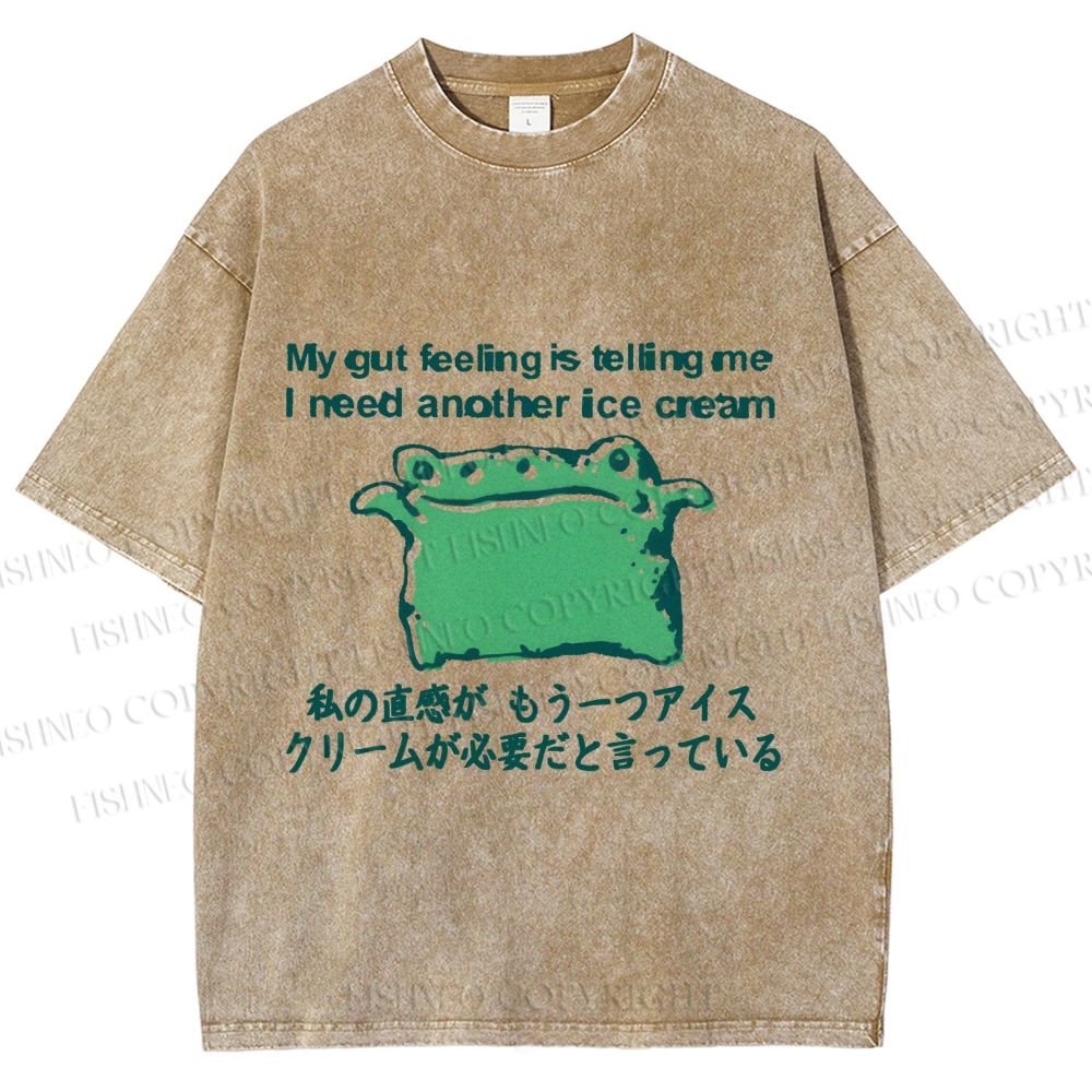 Unisex Japanese I need another ice cream Silly Frog Printed Washed Tee
