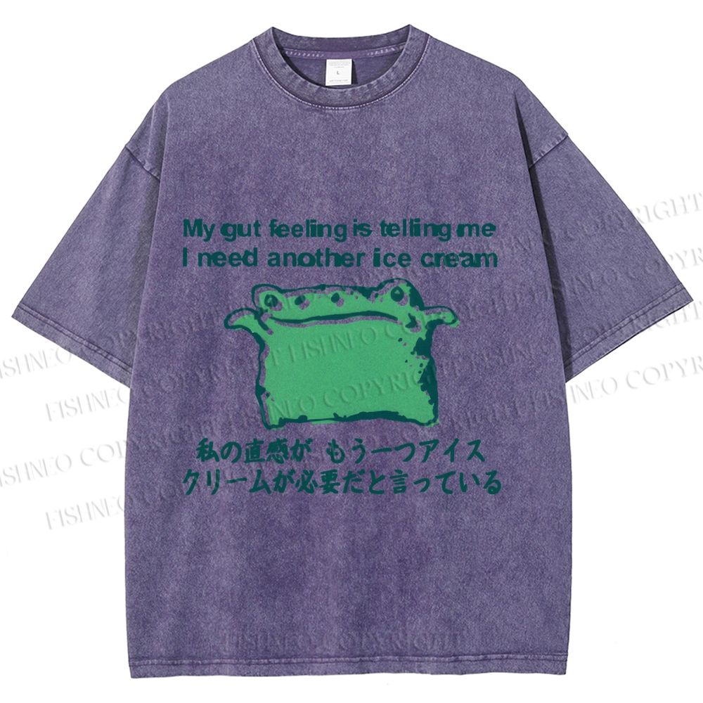 Unisex Japanese I need another ice cream Silly Frog Printed Washed Tee
