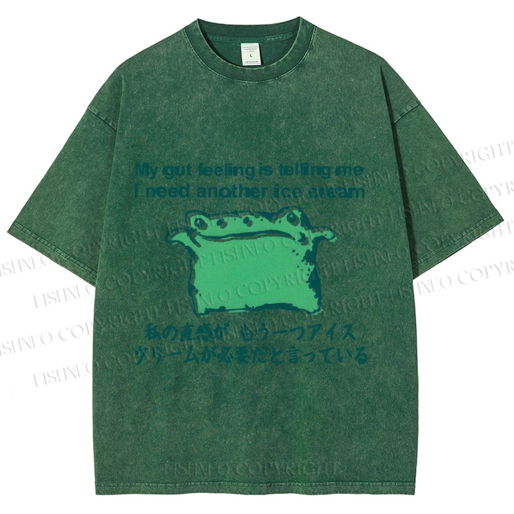 Unisex Japanese I need another ice cream Silly Frog Printed Washed Tee