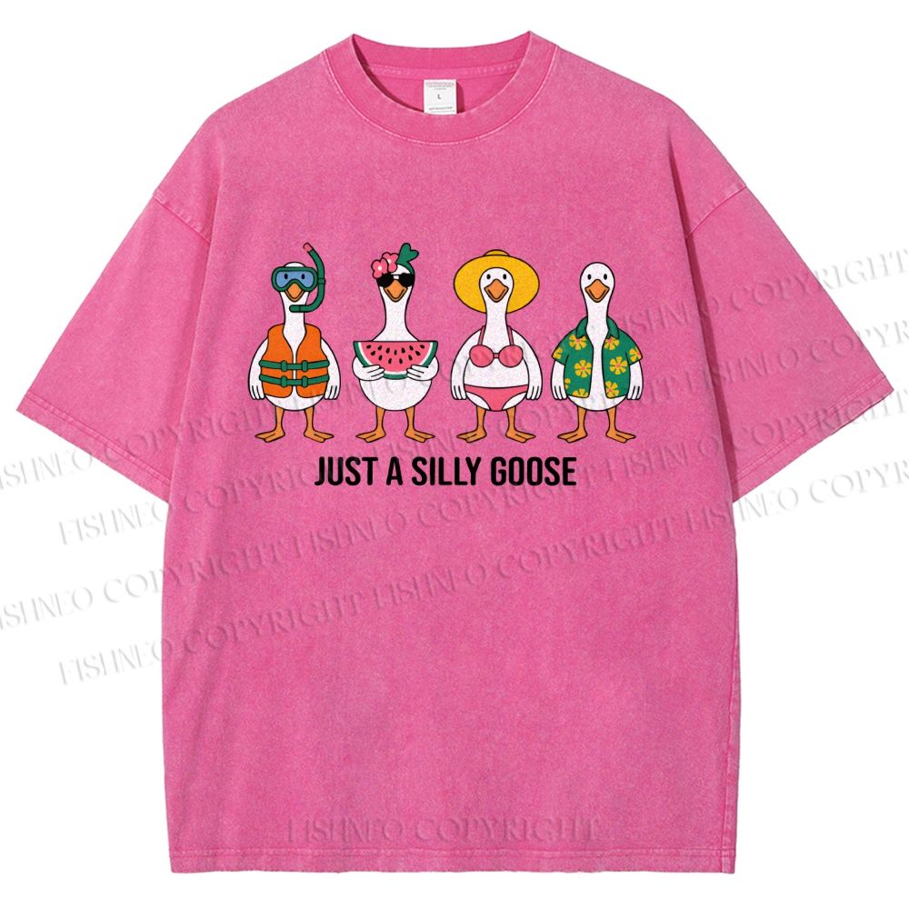 Unisex Just A Silly Goose Printed Washed Tee