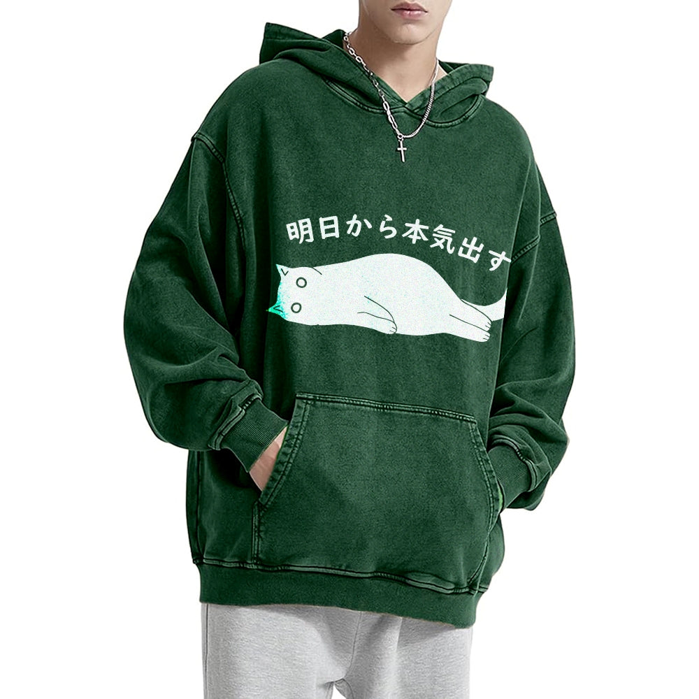 I'm Going To Get Serious Tomorrow Washed Hoodie