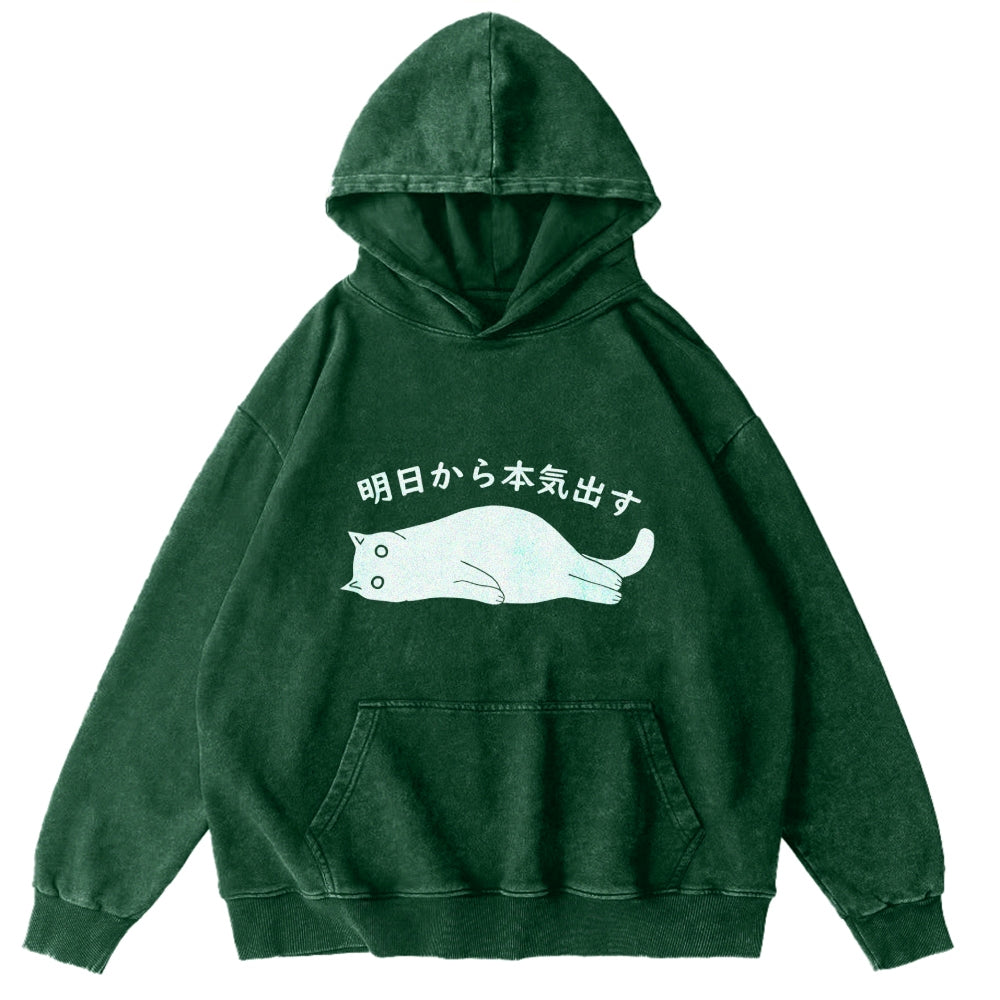 I'm Going To Get Serious Tomorrow Washed Hoodie