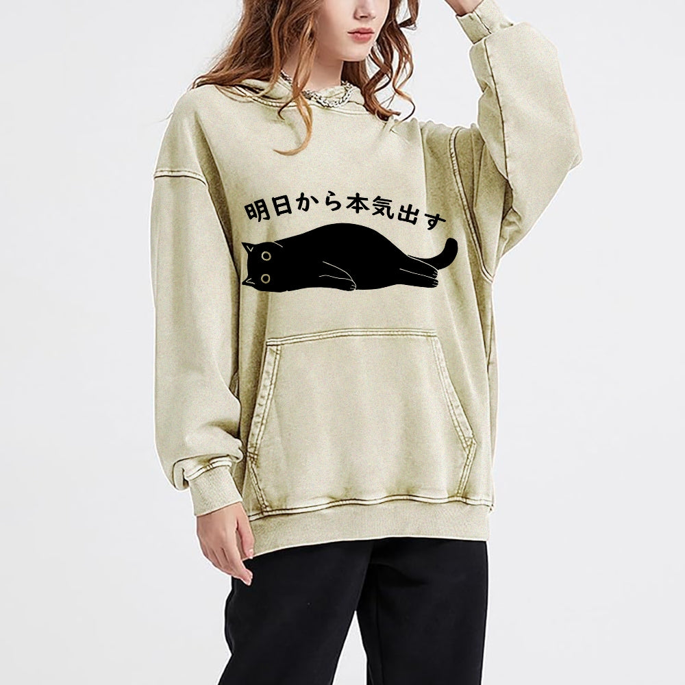 I'm Going To Get Serious Tomorrow Washed Hoodie