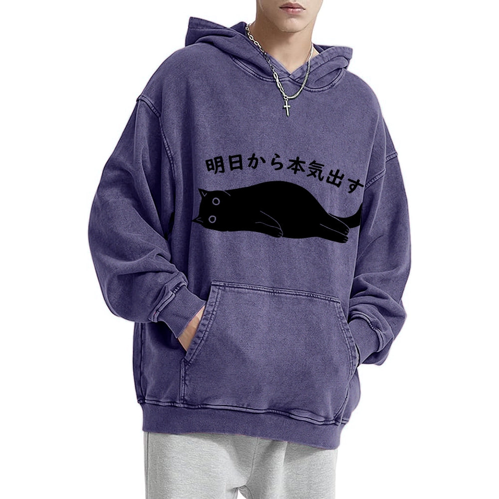 I'm Going To Get Serious Tomorrow Washed Hoodie