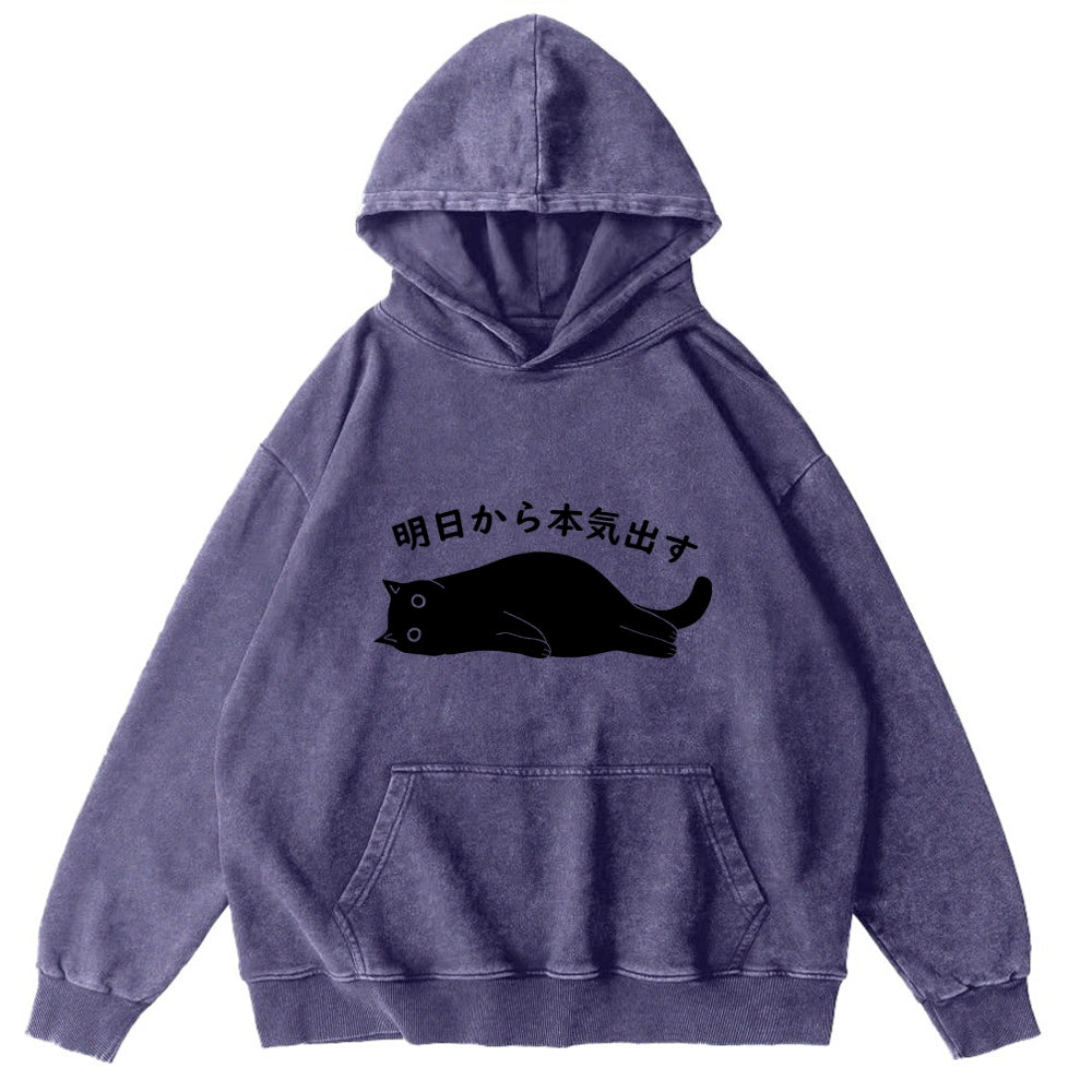 I'm Going To Get Serious Tomorrow Washed Hoodie