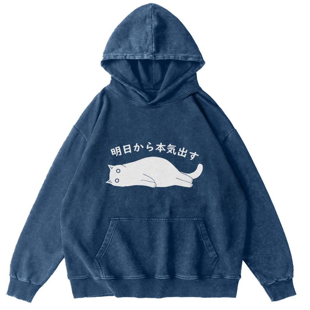 I'm Going To Get Serious Tomorrow Washed Hoodie