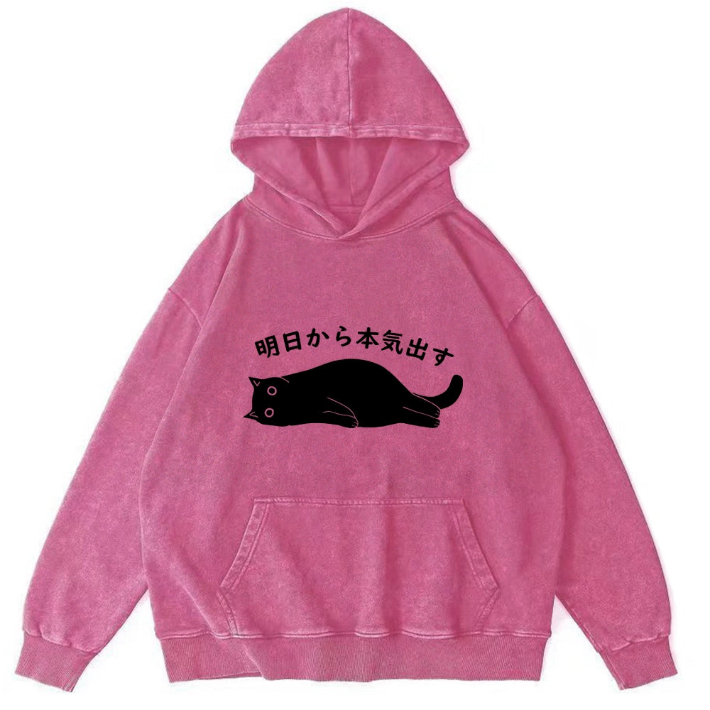 I'm Going To Get Serious Tomorrow Washed Hoodie