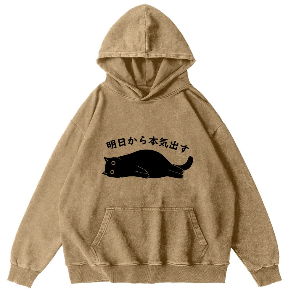 I'm Going To Get Serious Tomorrow Washed Hoodie