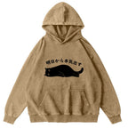 I'm Going To Get Serious Tomorrow Washed Hoodie