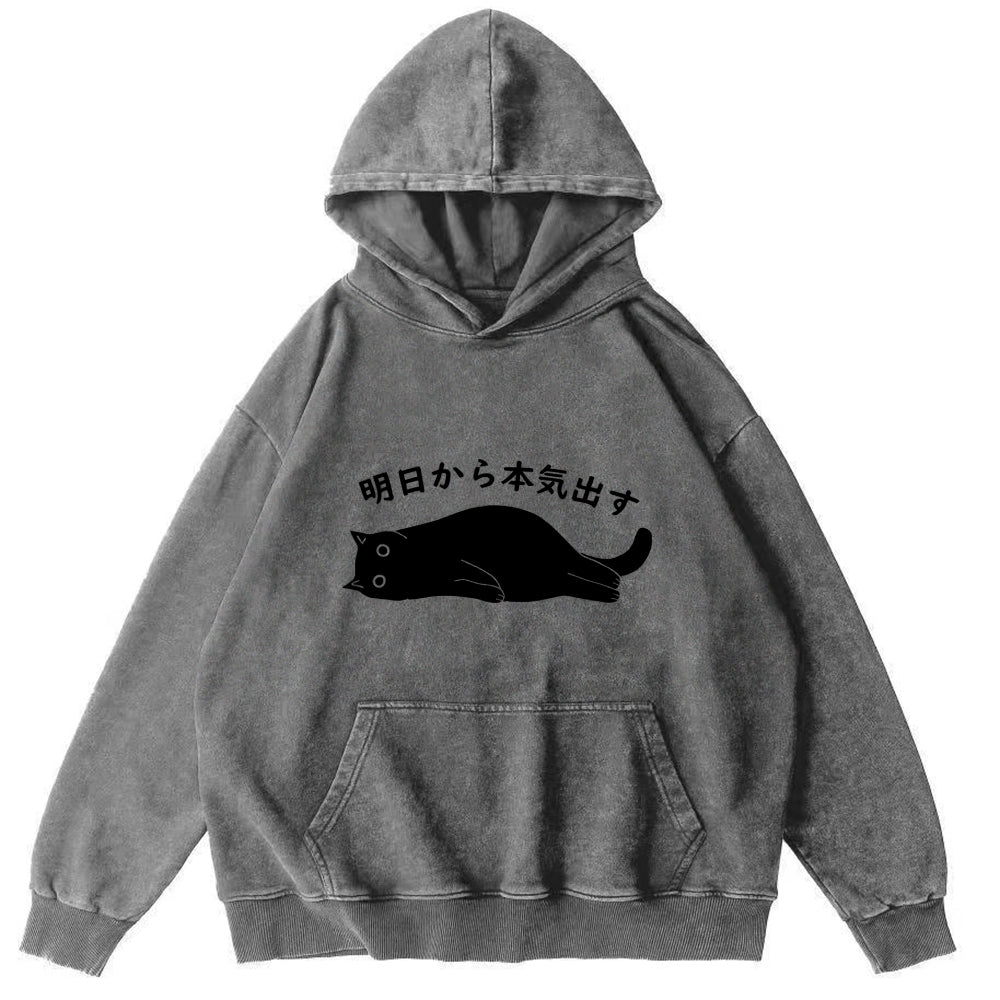 I'm Going To Get Serious Tomorrow Washed Hoodie