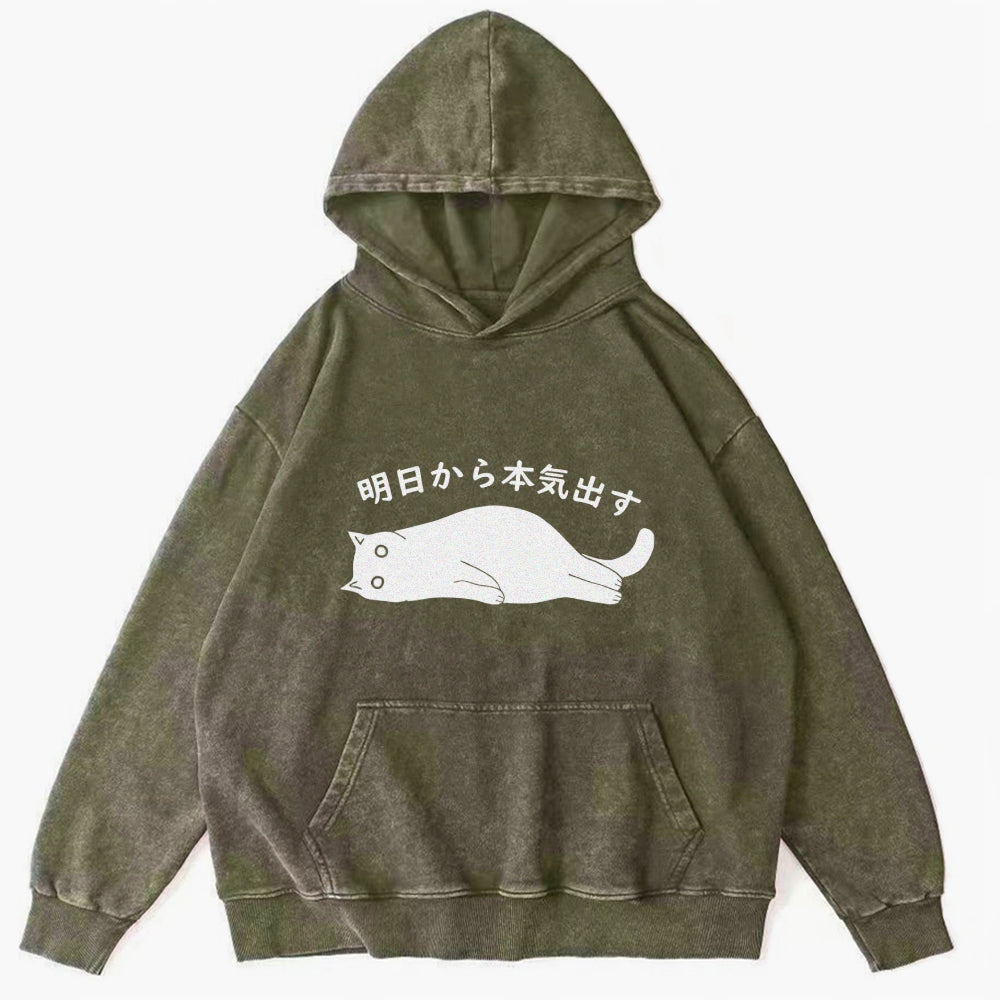 I'm Going To Get Serious Tomorrow Washed Hoodie