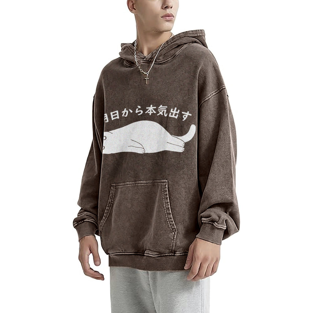 I'm Going To Get Serious Tomorrow Washed Hoodie