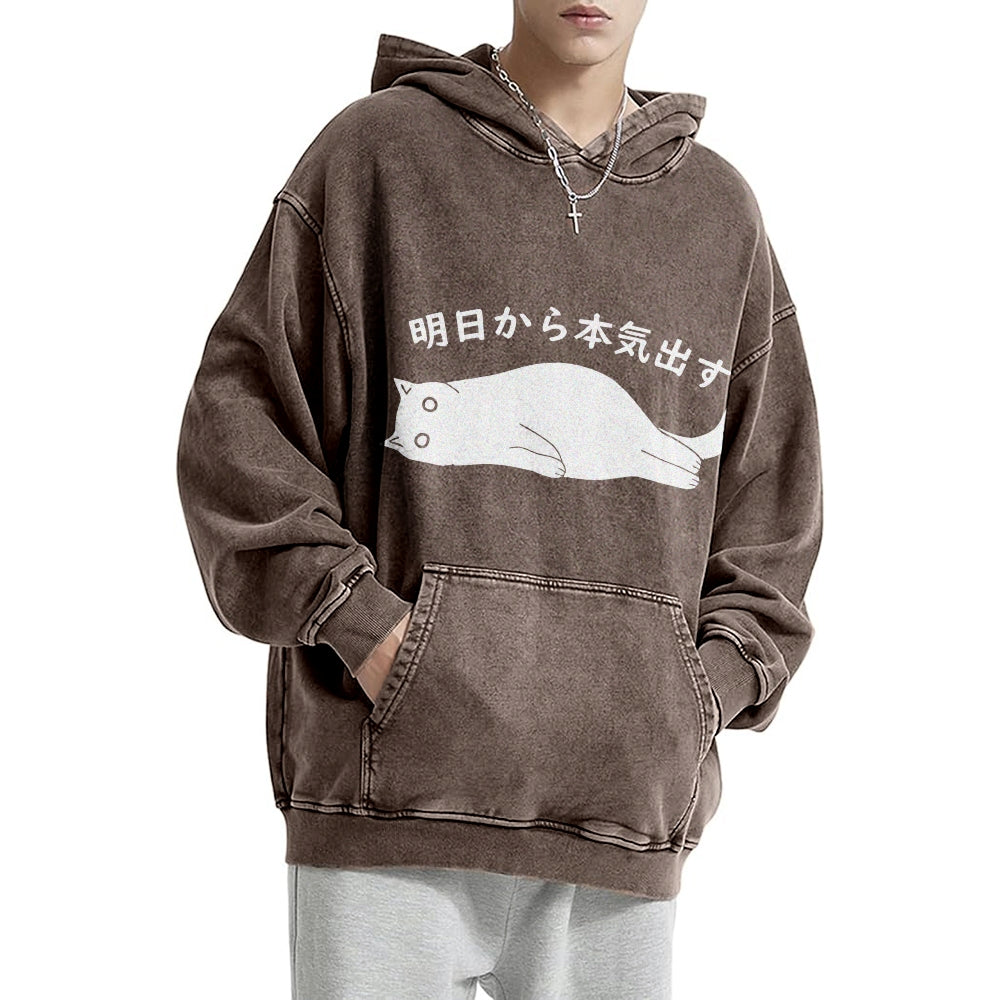 I'm Going To Get Serious Tomorrow Washed Hoodie