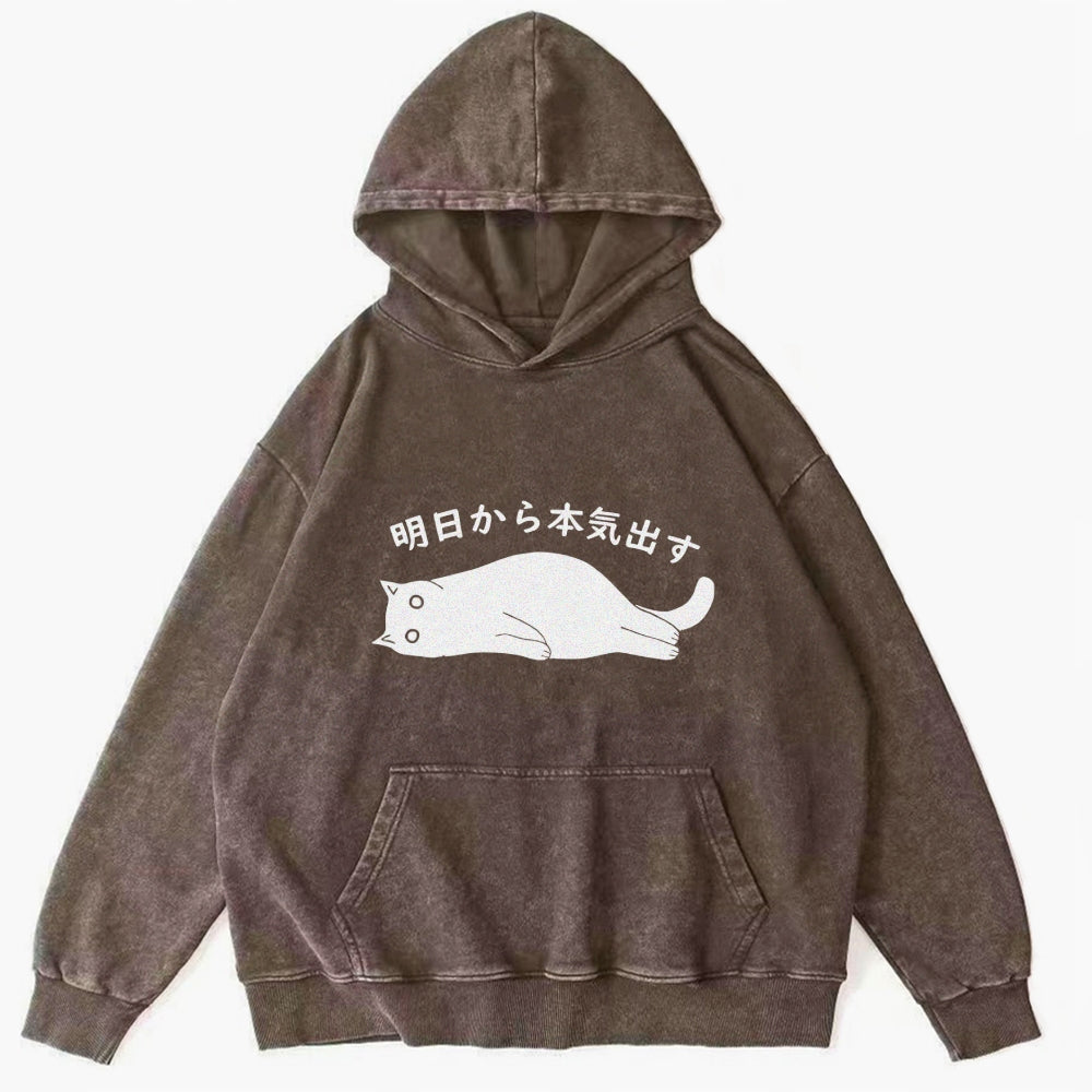 I'm Going To Get Serious Tomorrow Washed Hoodie