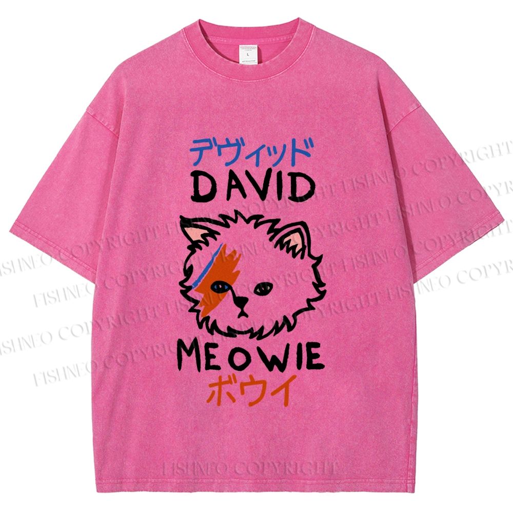 Unisex David Bowie Cat Printed Washed Tee