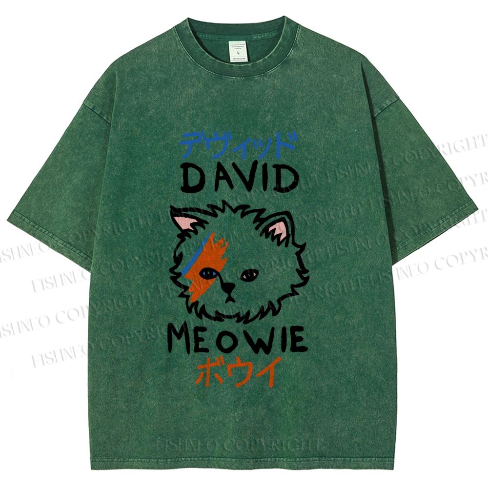 Unisex David Bowie Cat Printed Washed Tee