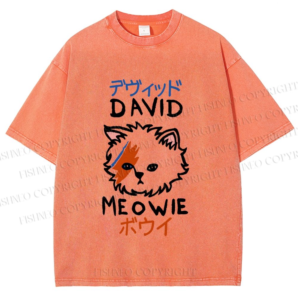 Unisex David Bowie Cat Printed Washed Tee