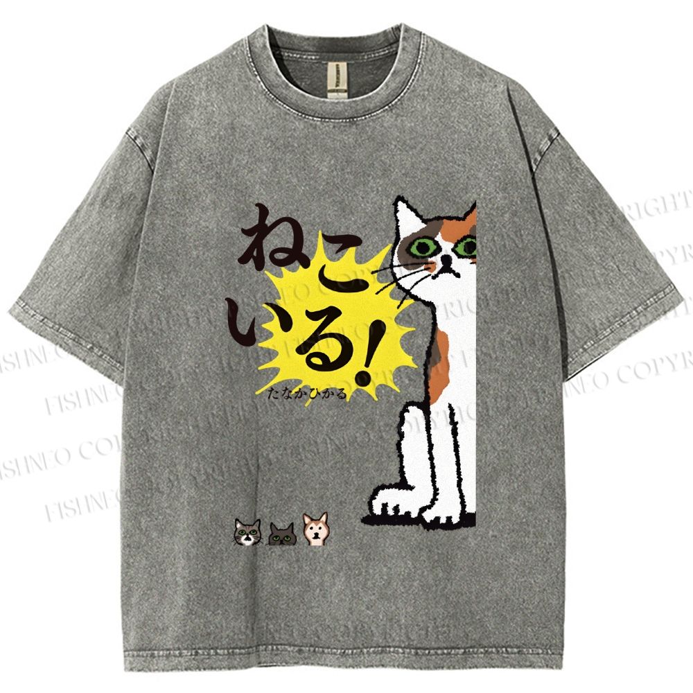 Unisex Vintage Japanese Cat Printed Washed Tee