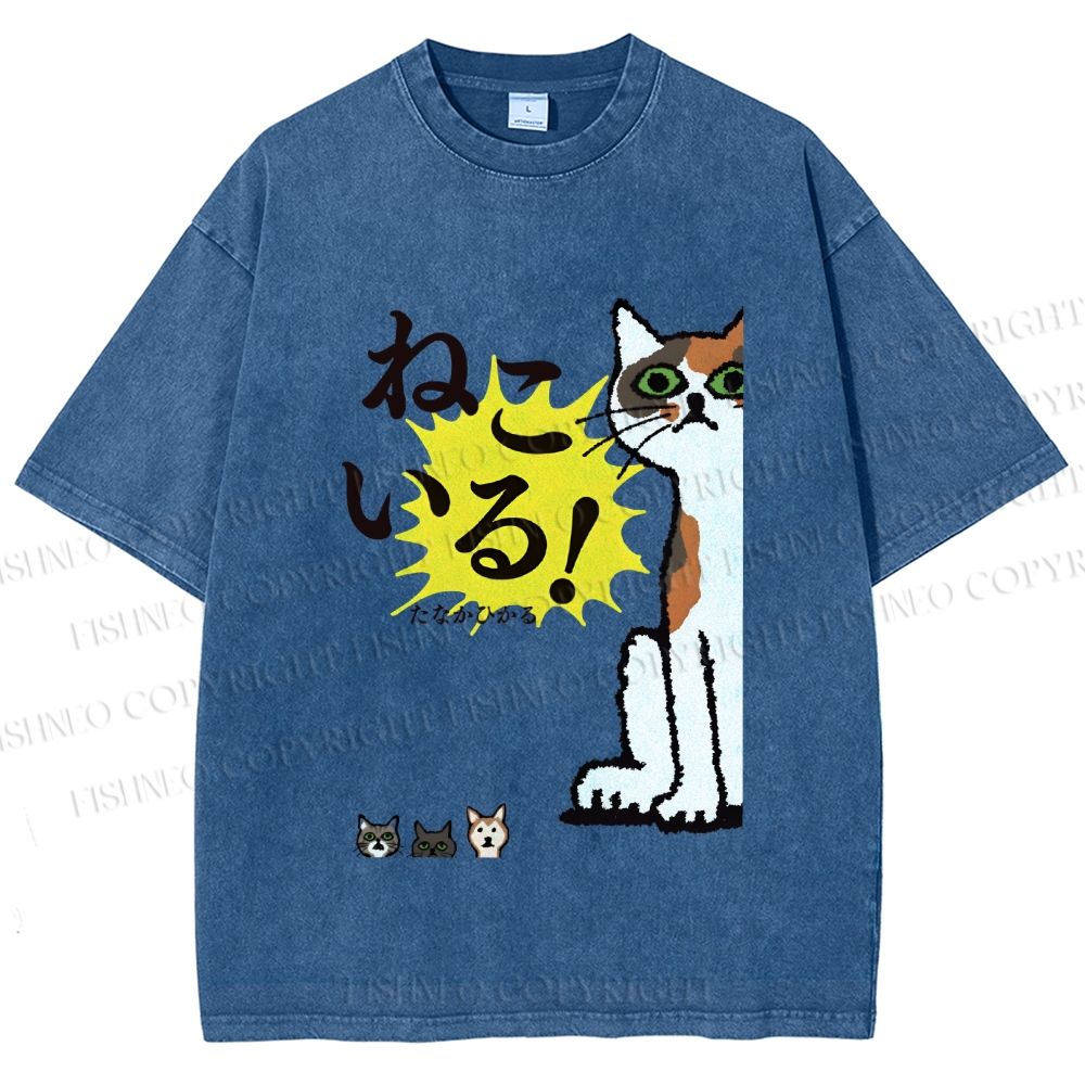 Unisex Vintage Japanese Cat Printed Washed Tee