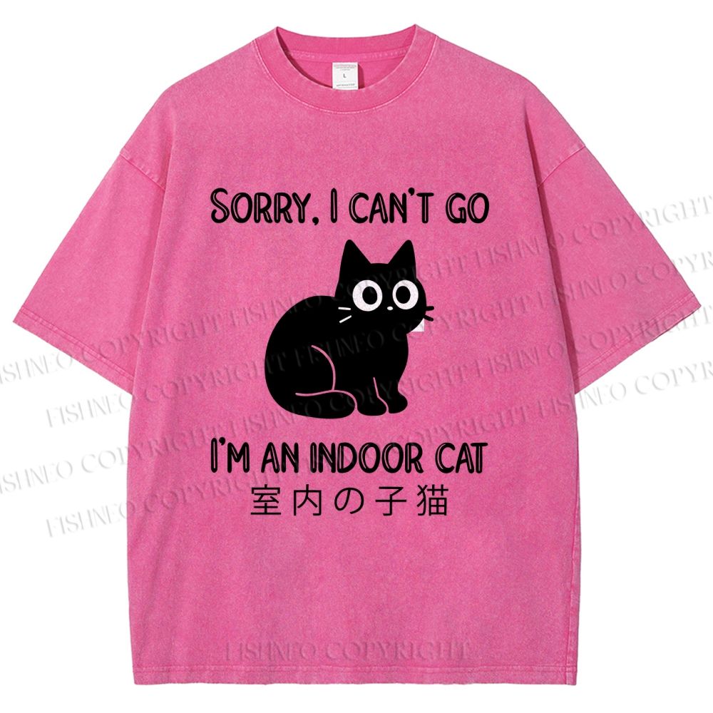 Unisex I'm  An Indoor Cat Printed Washed Tee