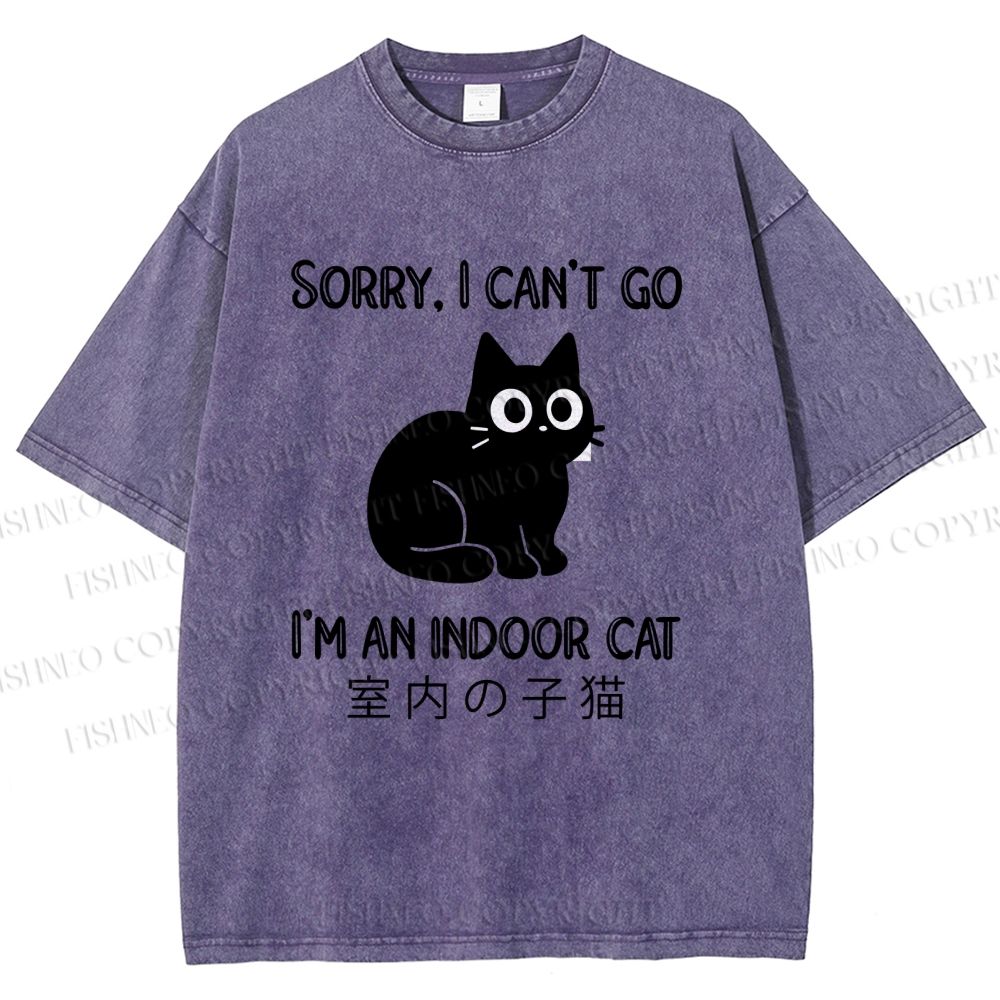 Unisex I'm  An Indoor Cat Printed Washed Tee