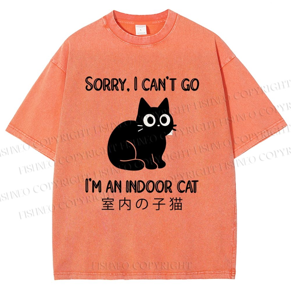 Unisex I'm  An Indoor Cat Printed Washed Tee