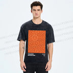 Unisex Japanese Takashi Murakami Flower Printed Washed Tee